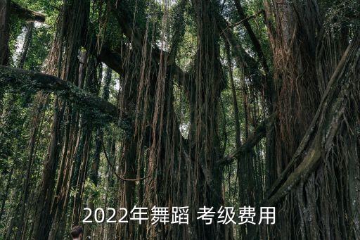 儿童街舞考级收费标准,儿童跆拳道考级收费标准2022