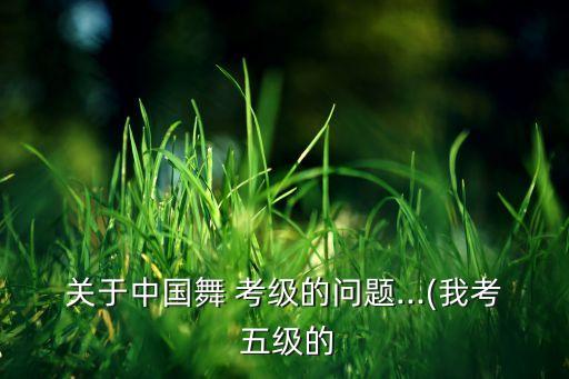 关于中国舞 考级的问题...(我考 五级的