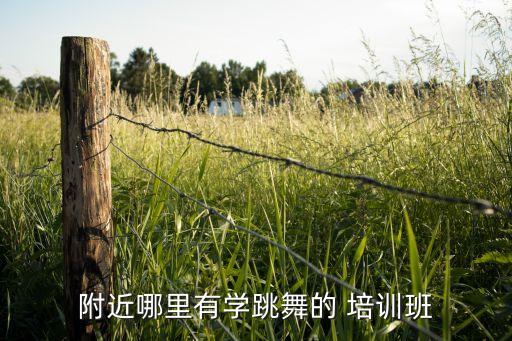 报个短期舞蹈培训班,去报舞蹈培训班应该问些什么问题