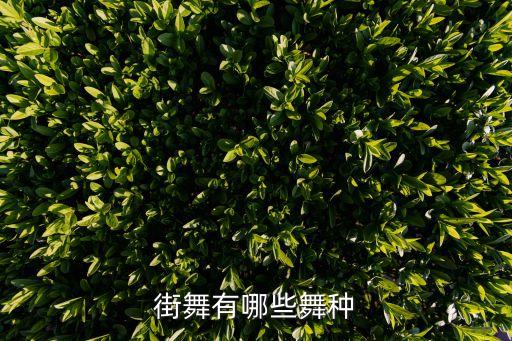 甩手舞百度百科,CriminalzCrew舞团百度百科