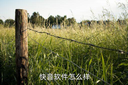  快音软件怎么样