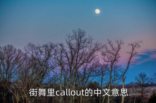  街舞里callout的中文意思