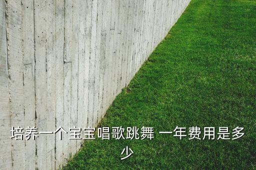 培养一个宝宝唱歌跳舞 一年费用是多少