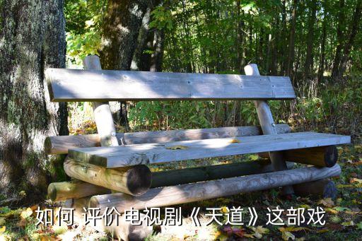 如何 评价电视剧《天道》这部戏
