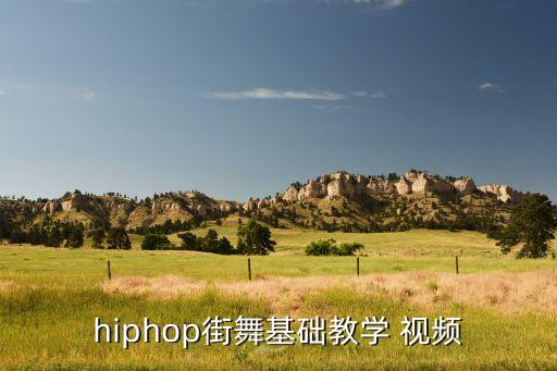 hiphop街舞基础教学 视频