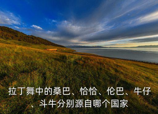  拉丁舞中的桑巴、恰恰、伦巴、牛仔、斗牛分别源自哪个国家