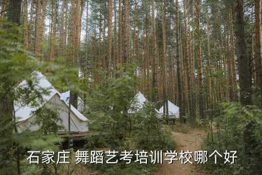  石家庄 舞蹈艺考培训学校哪个好