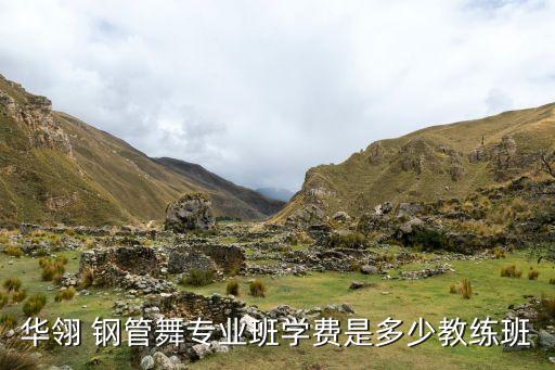 华翎 钢管舞专业班学费是多少教练班
