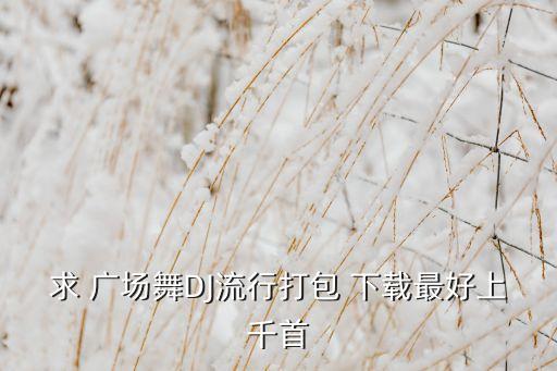 求 广场舞DJ流行打包 下载最好上千首