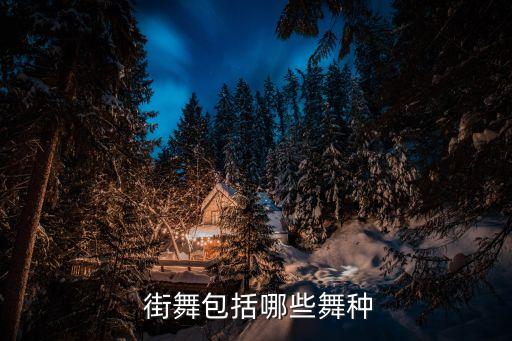 街舞的分类与风格特征,街舞hiphop风格分类