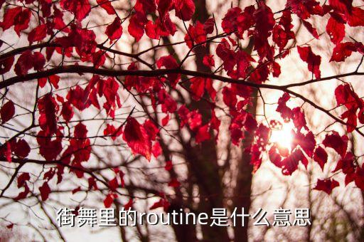  街舞里的routine是什么意思