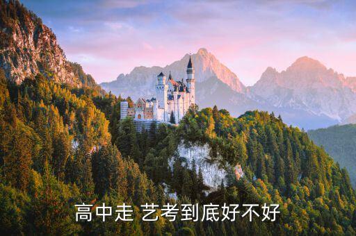 高中走 艺考到底好不好