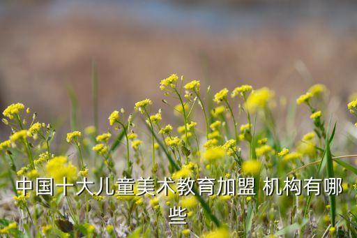 中国十大儿童美术教育加盟 机构有哪些