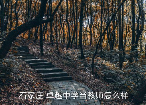  石家庄 卓越中学当教师怎么样
