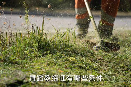 舞蹈老师需要本科学历吗