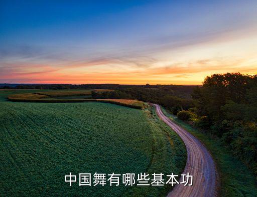 中国舞有哪些基本功