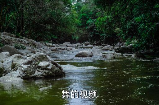 拉丁舞的视频