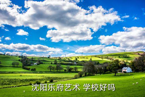  沈阳乐府艺术 学校好吗