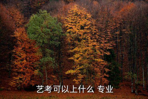  艺考可以上什么 专业