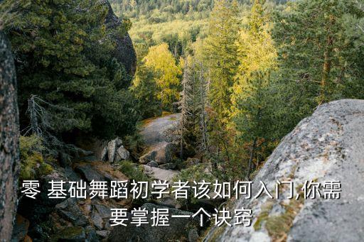 0基础学跳舞视频教程,免费学跳舞视频教程