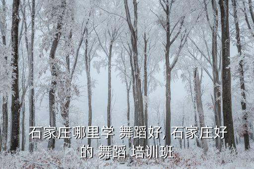  石家庄哪里学 舞蹈好, 石家庄好的 舞蹈 培训班
