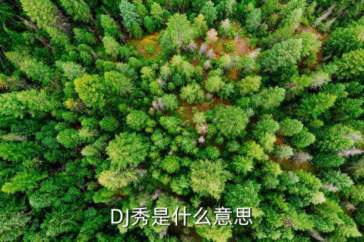 DJ秀是什么意思