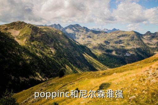 poppinc和尼尔森谁强