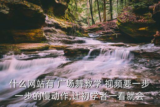 什么网站有 广场舞教学 视频要一步一步的慢动作,让初学者一看就会
