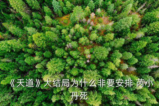 《天道》大结局为什么非要安排 芮小丹死