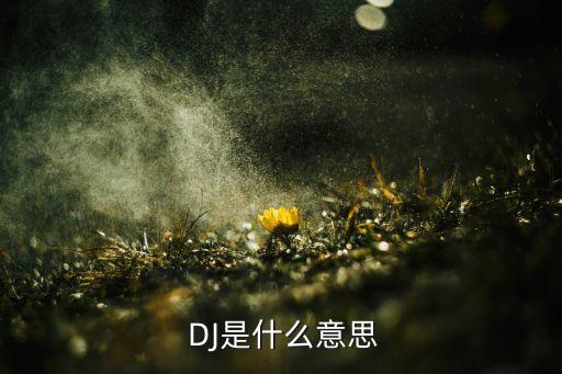 DJ的特殊含义,date有什么特殊含义吗