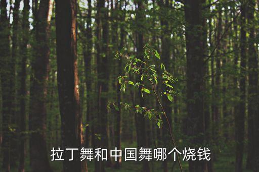  拉丁舞和中国舞哪个烧钱