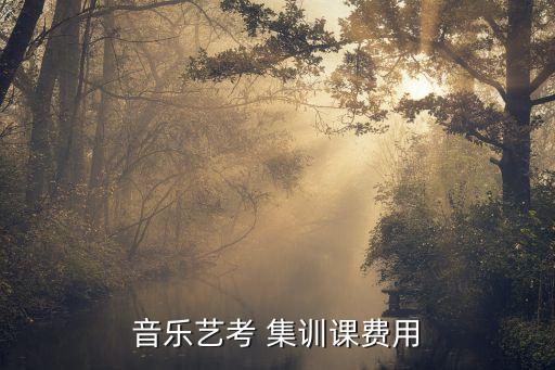 音乐艺考 集训课费用