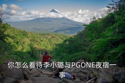 你怎么看待李小璐与PGONE夜宿一事
