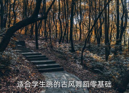 古典舞基训的训练目的