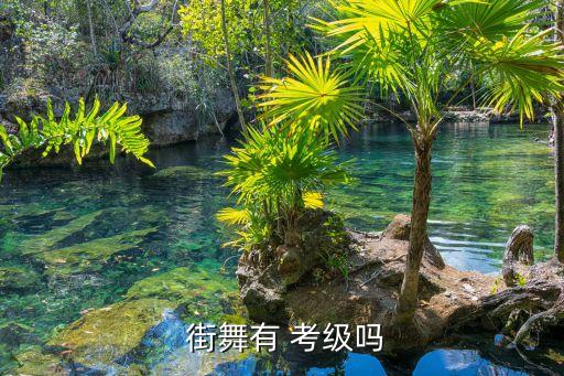  街舞有 考级吗