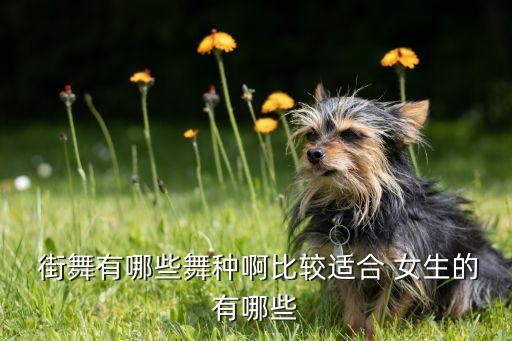 街舞有哪些舞种啊比较适合 女生的有哪些