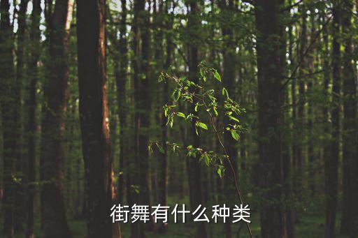  街舞有什么种类