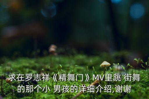 求在罗志祥《精舞门》MV里跳 街舞的那个小 男孩的详细介绍,谢谢