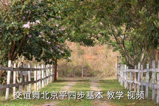 交谊舞北京平四步基本 教学 视频