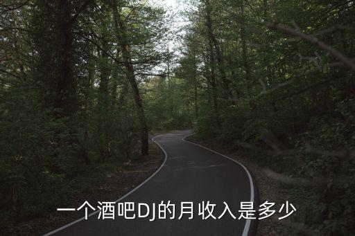 一个酒吧DJ的月收入是多少