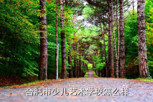  合肥市少儿艺术学校怎么样