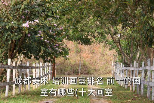 成都艺考培训机构排行榜前十,成都集训画室哪里最好