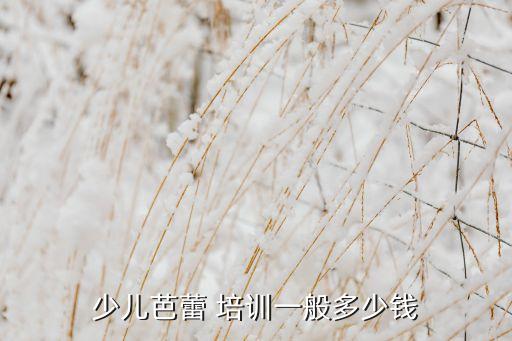 少儿芭蕾 培训一般多少钱