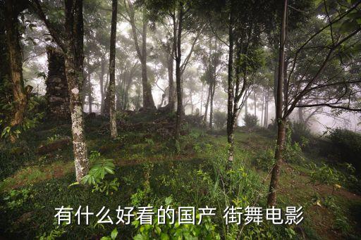 有什么好看的国产 街舞电影