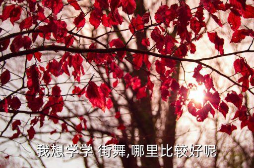 街舞课程介绍,舞蹈教学视频2022最火网红舞蹈