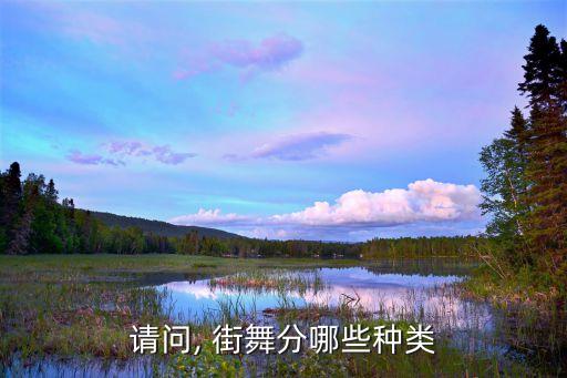 请问, 街舞分哪些种类