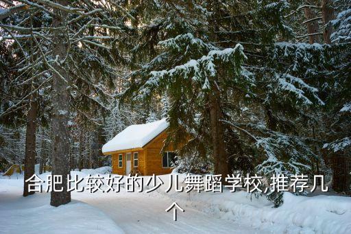  合肥比较好的少儿舞蹈学校,推荐几个