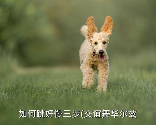 如何跳好慢三步(交谊舞华尔兹