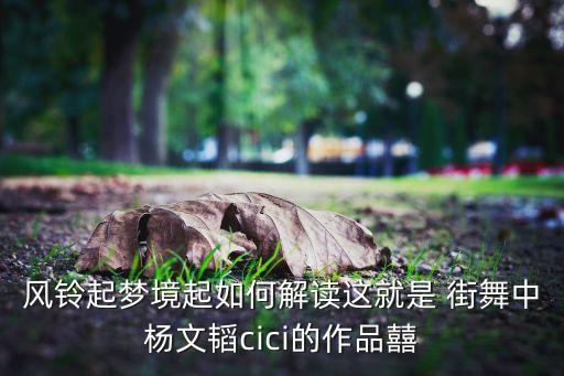 风铃起梦境起如何解读这就是 街舞中杨文韬cici的作品囍