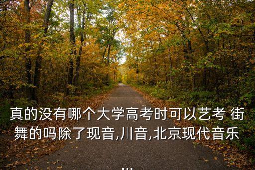 真的没有哪个大学高考时可以艺考 街舞的吗除了现音,川音,北京现代音乐...